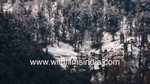 Winter wonderland Agoda in Garhwal Himalaya - pit stop en route Dodital, blanketed in winter snow
