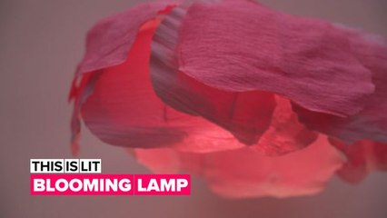 Light up your life: The floral light