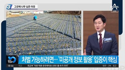‘100억대 땅 투기 의혹’ 그곳에 나무 심은 이유