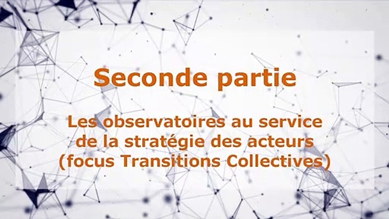 Jeudi de l'AFREF - 18/02/21 - Observatoires de branches, observatoires territoriaux - Partie 2A