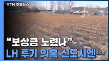 LH 투기 의혹 신도시 '농지에 묘목'...경찰 수사 착수 / YTN