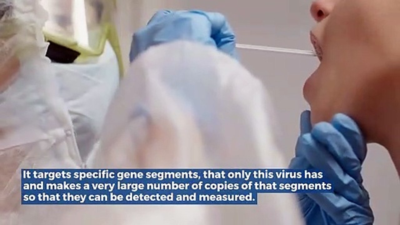PCR Test With Travel Certificate – NX Healthcare