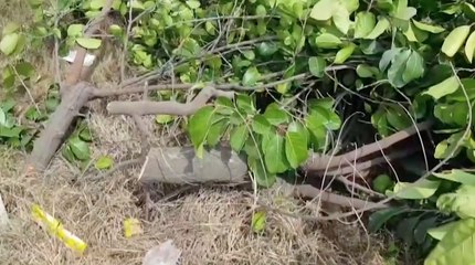 เรื่องพลบค่ำ ช่วงที่ 2 วันพุธที่ 3 มี.ค.64