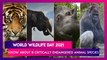World Wildlife Day 2021: 8 Critically Endangered Animal Species You Should Know About