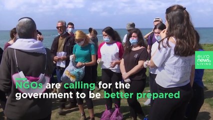 Israeli government was ‘not prepared’ for massive oil spill cleanup, say NGOs