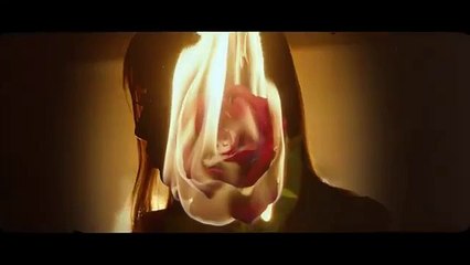 Coming soon Rosé solo