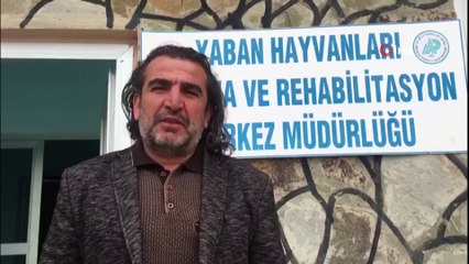 3 Mart Dünya Yaban Hayatı Günü