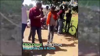 Locals spot crocodile on road in MP