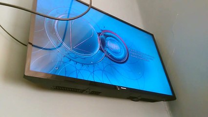 Calinos entertainment/Gold Lunar