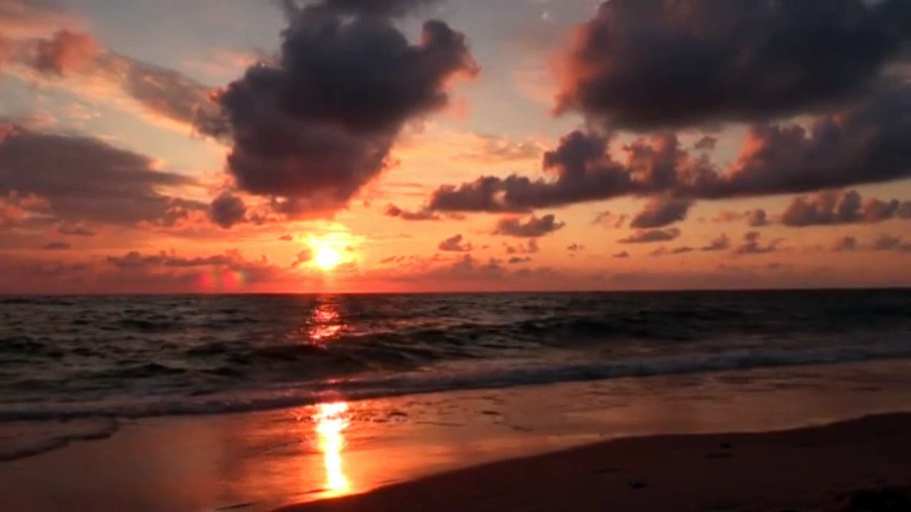 Relaxing sleep music Deep sleeping music Relaxing music Stress relief meditation music