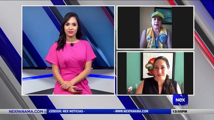 Proyecto El Pailón - Nex Noticias