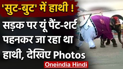 Anand Mahindra ने शेयर की Elephant की Pant-Shirt में Photo, आ रहे मजेदार Reaction । वनइंडिया हिंदी