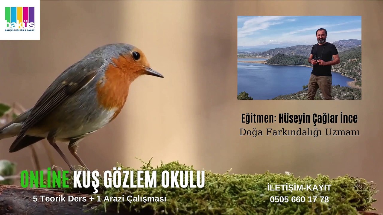 Hüseyin Çağlar İnce’den Online Kuş Gözlem Okulu