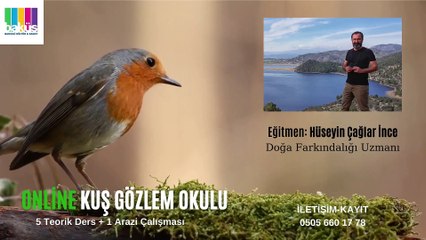 Hüseyin Çağlar İnce’den Online Kuş Gözlem Okulu