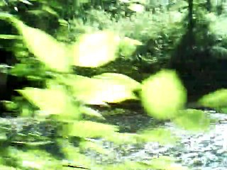 Abendlied instrumental no melody