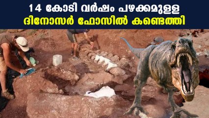 ലോകത്തിലെ ഏറ്റവും പഴക്കമുള്ള ഫോസില്‍ | Oneindia Malayalam