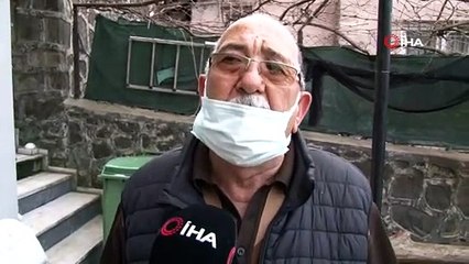 Riva sahilinde iki ölü yunus karaya vurdu