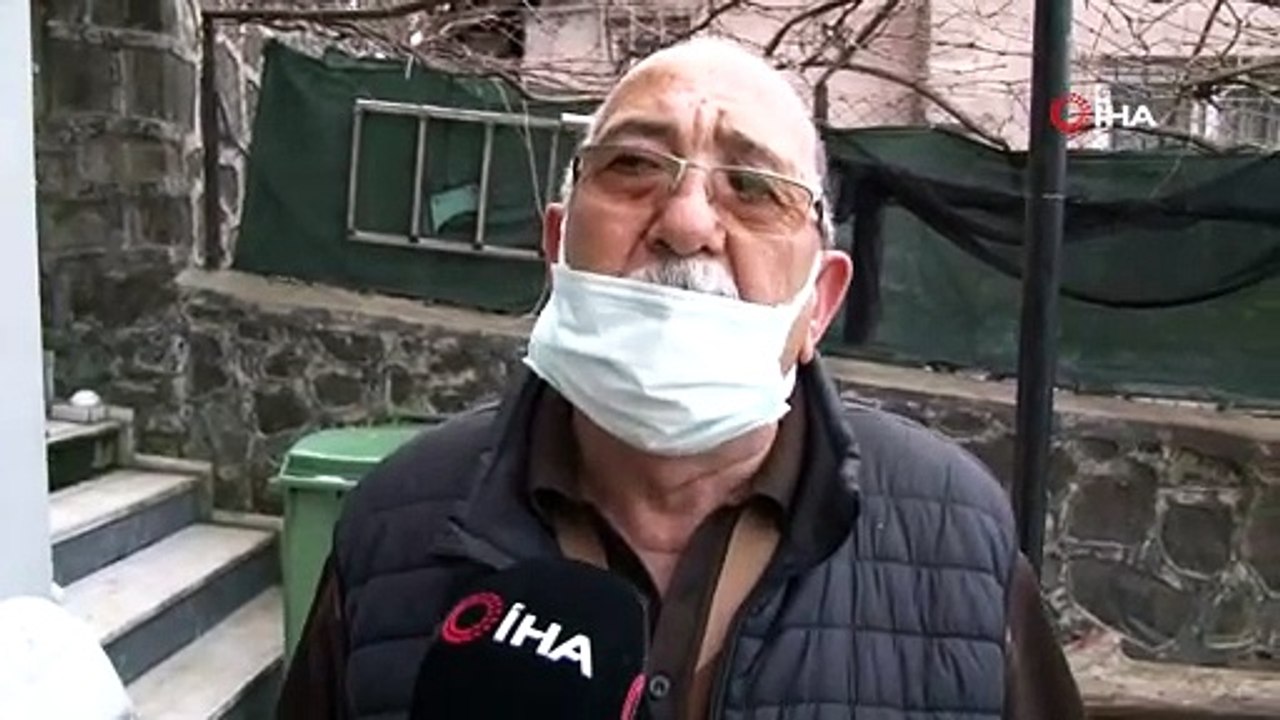 Riva sahilinde iki ölü yunus karaya vurdu