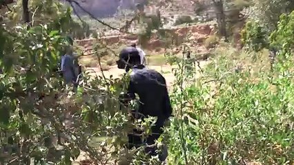 محاولة "لإبادتنا".. فرانس برس تعاين آثار المجازر في تيغراي