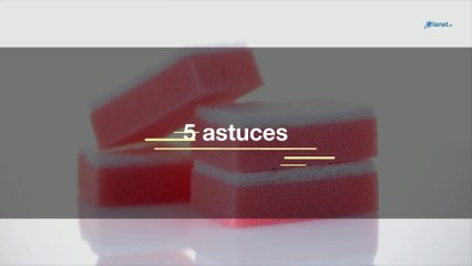 Cinq astuces pour garder vos éponges bien propres.