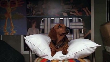 That '70s Show - The Circle - 5x07