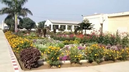 Good news: Prisoners beautify jail compound in UP's Maharajganj