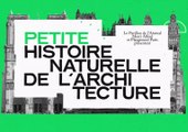Petites histoires naturelles de l'architecture - Episode 3 - Petits pois et cathédrales