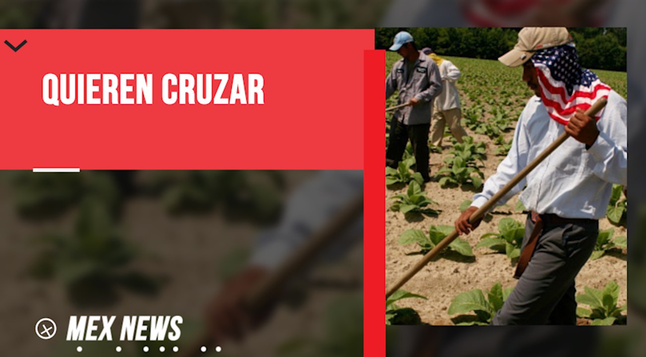 MÉXICO Y EEUU ANALIZAN OTORGAR VISAS A TRABAJADORES MEXICANOS