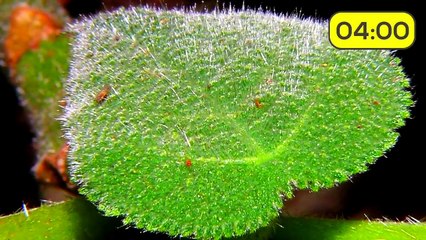 30 Cosas que no sabías hace 5 minutos