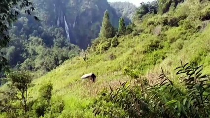 Natural beauty and beautiful waterfall