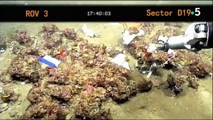 Dangers dans le ciel - Droit à la catastrophe, vol Ethiopian 409