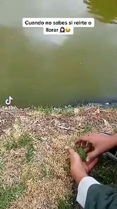 Niño libera a una rana y un pato de la come
