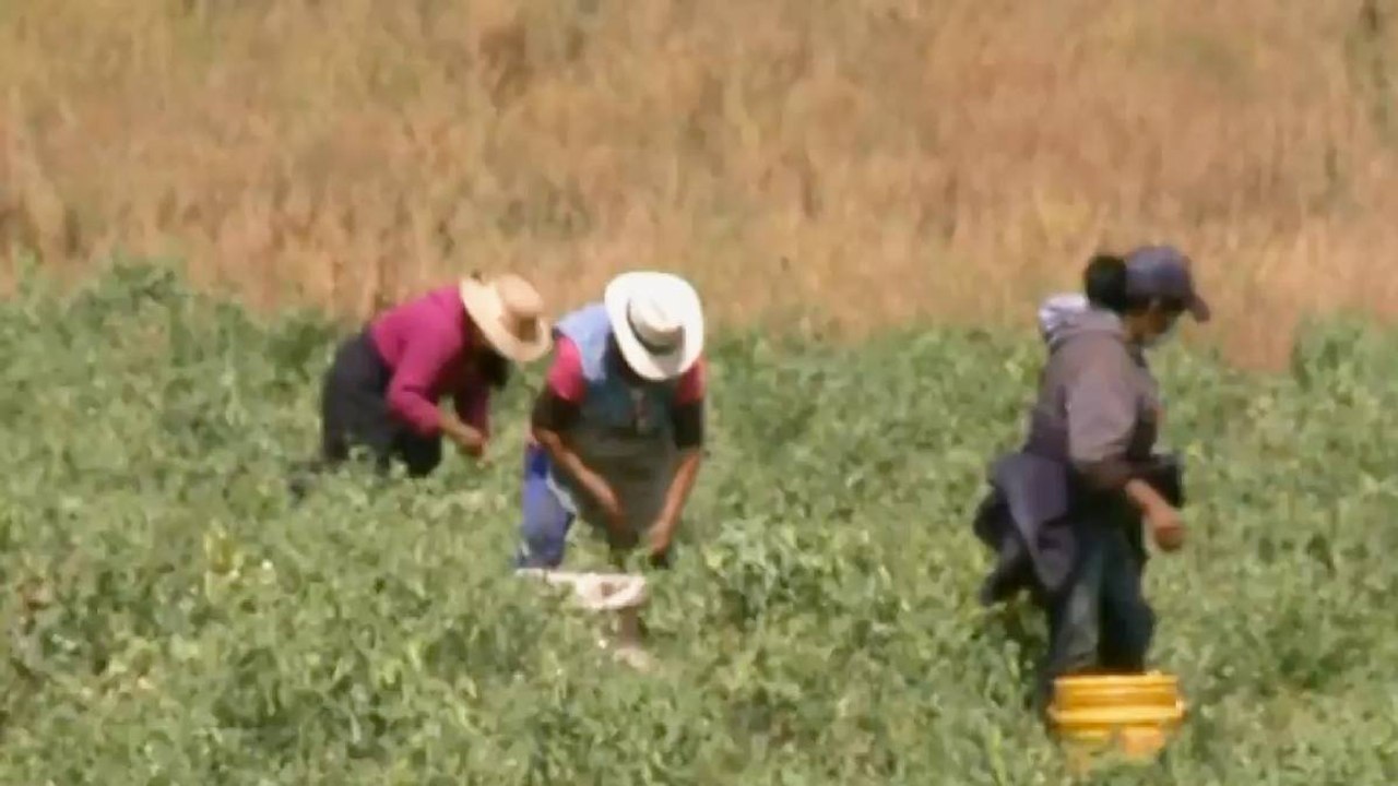 Preocupación en Boyacá por vacunación contra covid de población campesina