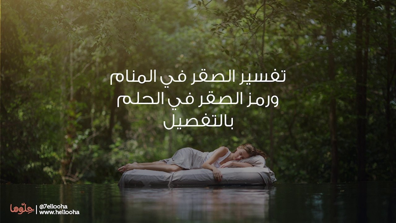تفسير الصقر في المنام ورمز الصقر في الحلم بالتفصيل