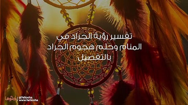 تفسير رؤية الجراد في المنام وحلم هجوم الجراد بالتفصيل