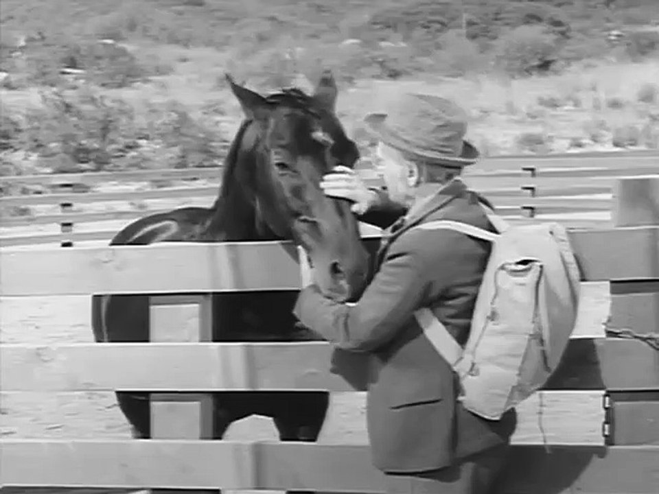 Fury | Season 1 | Episode 22 | Fury Runs to Win | Peter Graves | Bobby Diamond | William Fawcett