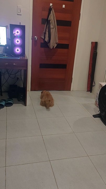 waiting for dad !!!❤️