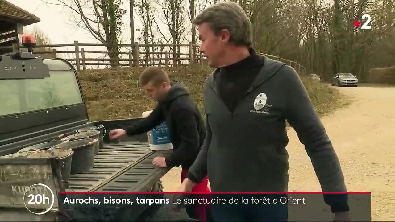 Biodiversité : à la découverte de la Forêt d'Orient et de ses espèces protégées