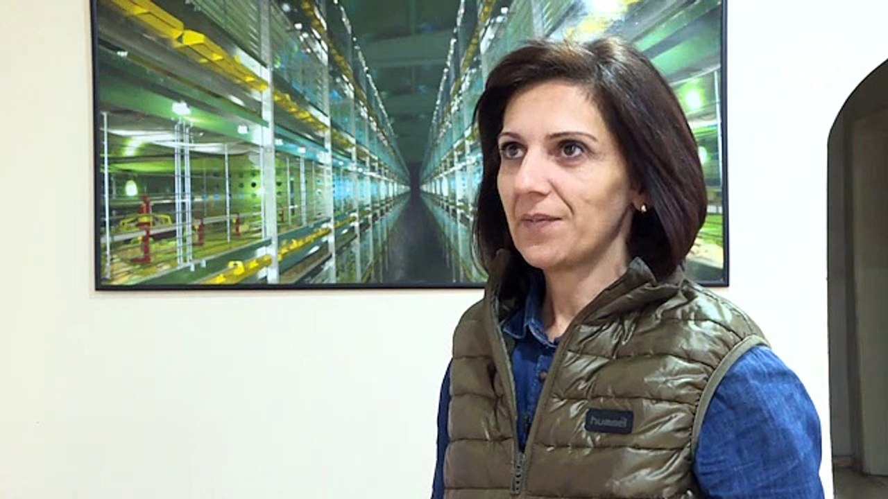 Kadınların ürettiği kafes sistemleri 5 ülkeye ihraç ediliyor