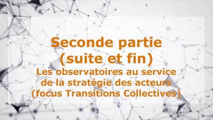 Jeudi de l'AFREF - 18/02/21 - Observatoires de branches, observatoires territoriaux - Partie 2B