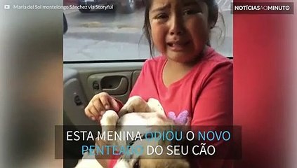 Menina chora ao ver novo penteado do cão