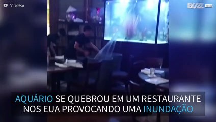 Aquário gigante se quebra em restaurante nos EUA