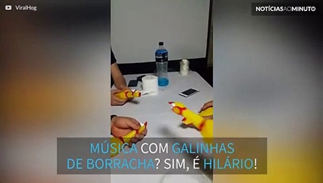 Galinhas de borracha são ótimos instrumentos musicais!