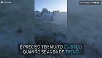 Descida de trenó acaba em acidente