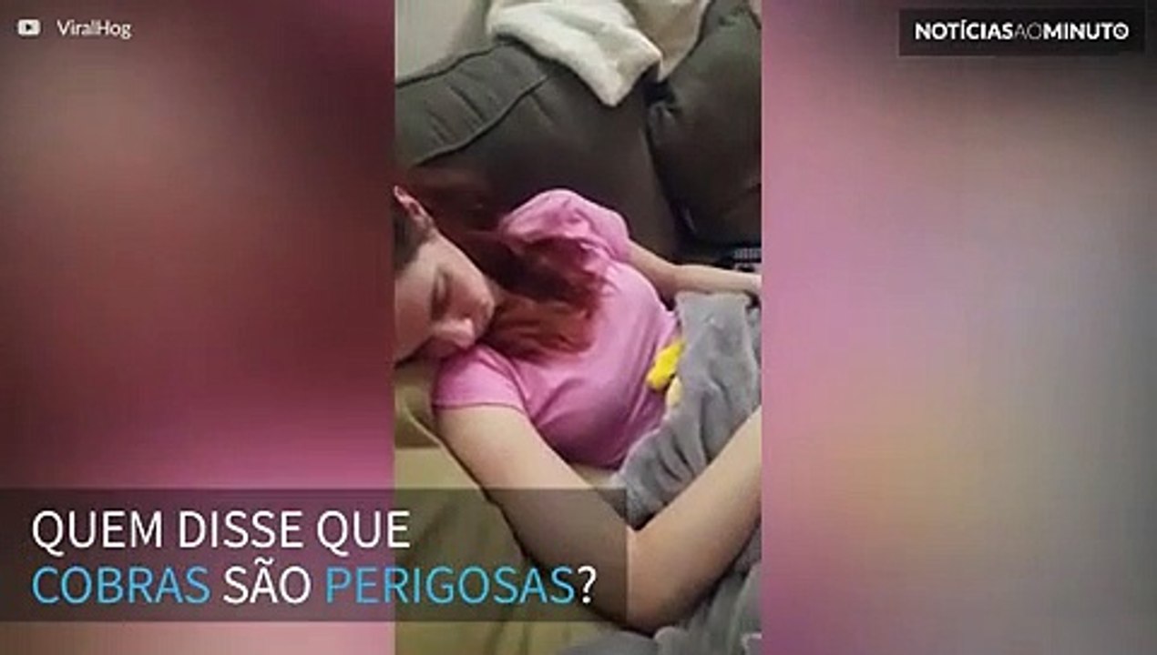 Cobra de estimação tira uma soneca com sua dona