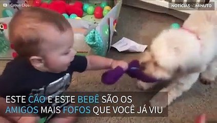 Bebê e cãozinho formam a amizade mais fofa que você ja viu