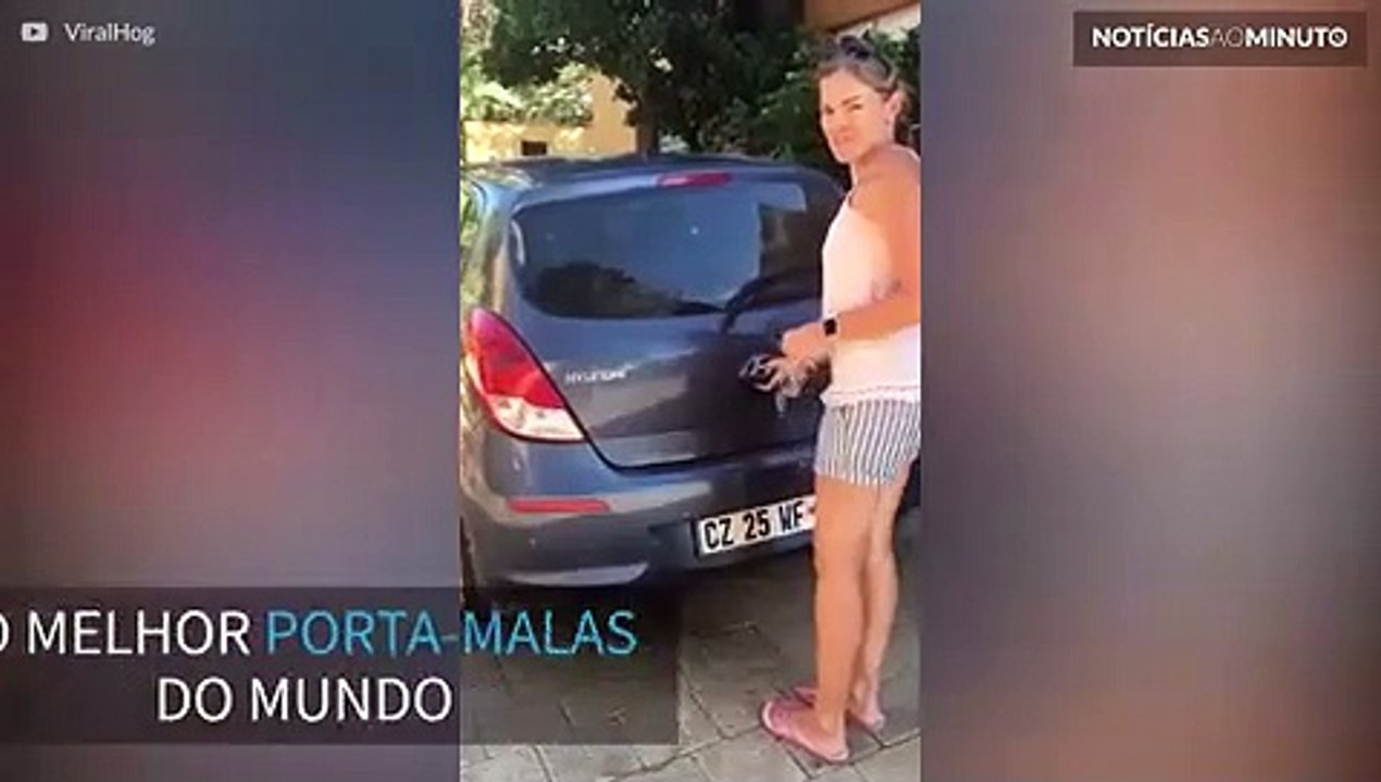 Fofura! Este porta-malas esconde uma surpresa canina!