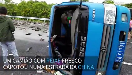 É possível ir à pesca em plena auto-estrada na China