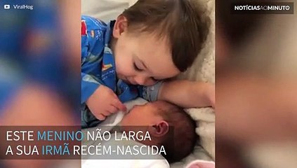 Este menino não larga a irmã recém-nascida