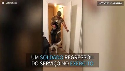 Emocionante! Soldado retorna da Nigéria e reecontra seu cão